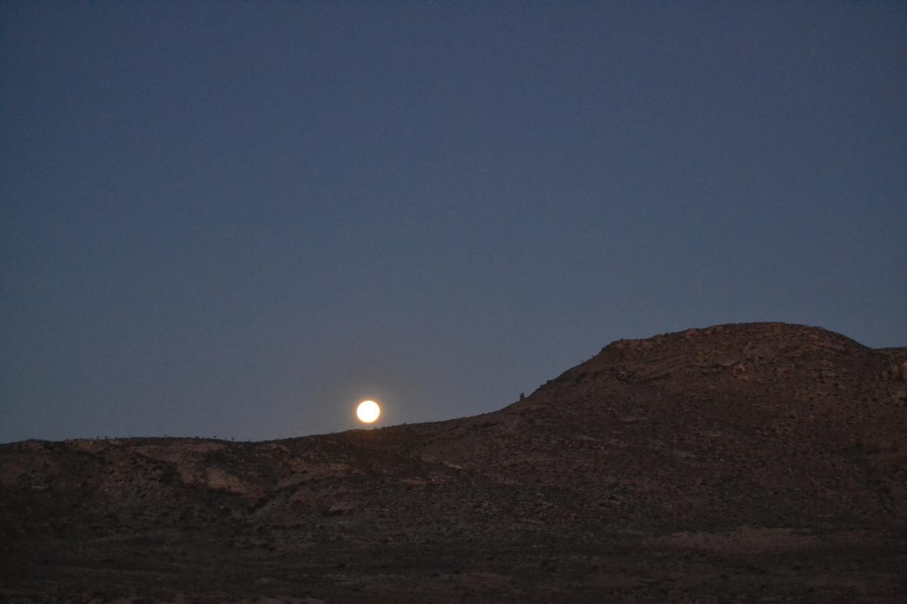 Sperrgebiet Lodge Springbok Kültér fotó